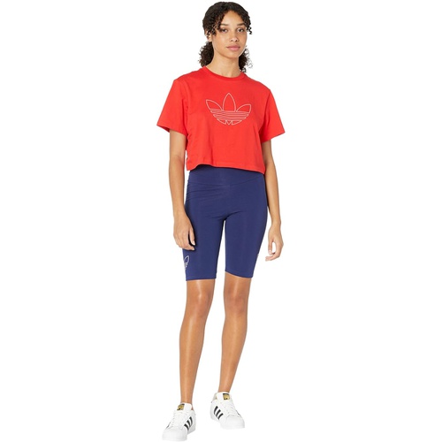 아디다스 adidas Originals Americana Cycling Shorts