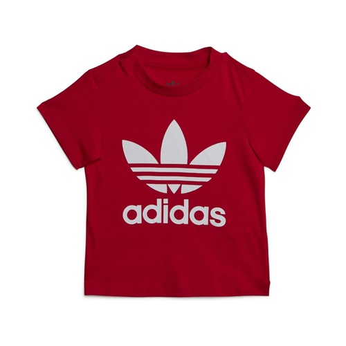 아디다스 adidas Originals Kids Trefoil Tee (Infant/Toddler)