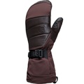 Backcountry GORE-TEX All-Mountain Mitten - Accessories