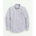 Stretch Cotton Non-Iron Oxford Polo Button-Down Collar, Outline Striped Shirt