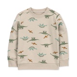 Toddler Boys Dinosaur Pullover Sweater
