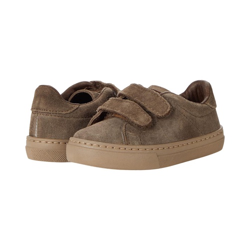 클락스 Cienta Kids Shoes 90887 (Toddleru002FLittle Kidu002FBig Kid)