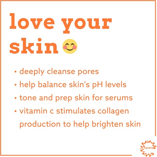  Eve Hansen Vitamin C Toner for face | 8 oz Hydrating Facial Toner & PH Balancing Pore Minimizer with Anti Aging Aloe, Citric Acid & Tea Tree | Skin & Face Toner for All Skin Types