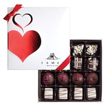 Fames Assorted Chocolate Gift Box  Handcrafted Deluxe Chocolates - Kosher (16 Count)