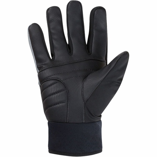  GOREWEAR C5 GORE-TEX Thermo Glove - Men