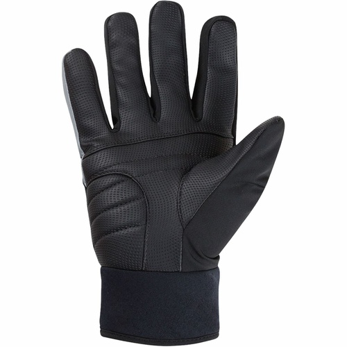  GOREWEAR C5 GORE-TEX Thermo Glove - Men