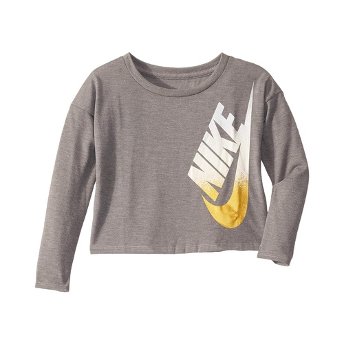 나이키 Nike Kids Metallic Logo Long Sleeve Graphic Top (Toddleru002FLittle Kids)