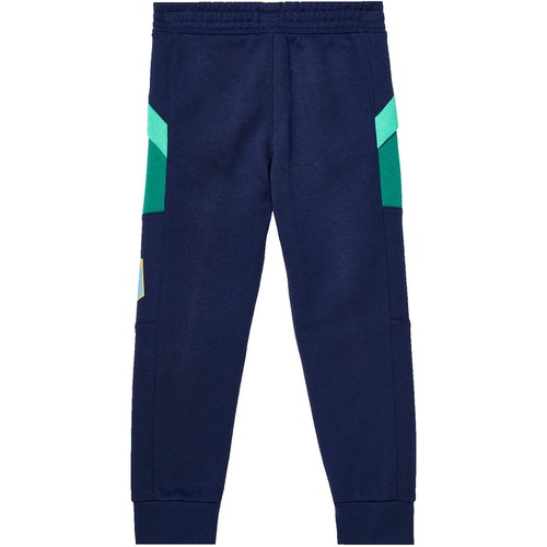 나이키 Nike Kids NSW Great Outdoors Fleece Pants (Toddler/Little Kids)