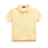 Polo Ralph Lauren Kids Polo Pony Pique Polo Shirt (Big Kids)