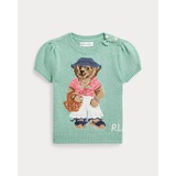 Polo Bear Cotton Short-Sleeve Sweater
