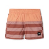 reima Quick Dry Sunproof Palmu Shorts (Toddleru002FLittle Kidsu002FBig Kids)