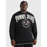 TOMMY JEANS Big And Tall Modern Prep Skater Sweatshirt