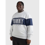 TOMMY JEANS Big And Tall Block Logo Sweatshirt