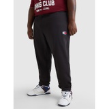 TOMMY JEANS Big And Tall Badge Sweatpant