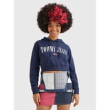TOMMY JEANS Retro Logo Cropped Hoodie