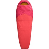 The North Face Wasatch Pro 55 Sleeping Bag: 55F Synthetic - Hike & Camp