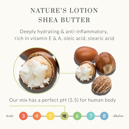  Shea Body Butter - Citrus Shea Butter Body Lotion by Tree to Tub for Sensitive Skin - Shea Butter Cream with Butter Oils, Anti-Aging Vitamin C