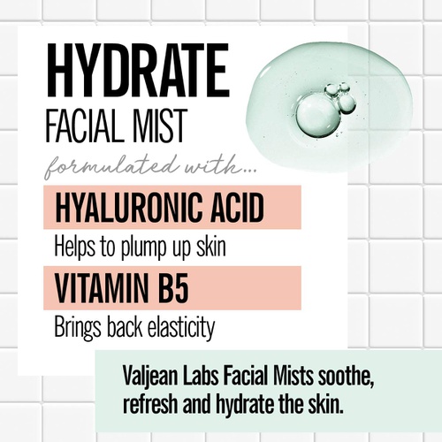  Valjean Labs Face Mist - Hydrate, Hyaluronic Acid and Vtamin B5 (4 fl oz)