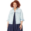 Madewell The Plus Jean Jacket in Westlawn Wash
