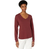 Madewell Softfade Cotton V-Neck Relaxed Tee