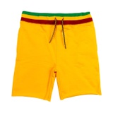 Appaman Kids Ziggy Marley Camp Shorts (Toddleru002FLittle Kidsu002FBig Kids)