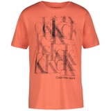 Big Boys Linear Calvin Klein Short Sleeve T-shirt