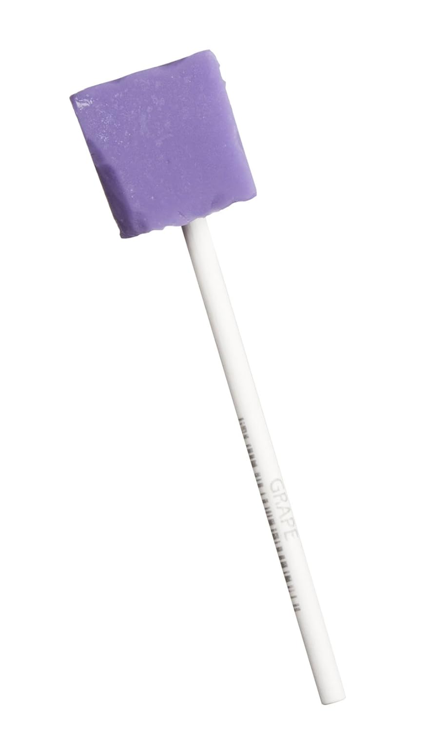  Candy Buffet Store Purple Square Pops - 24 Pack - Grape Flavored - How To Build a Candy Buffet Guide included!