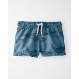 Carters Recycled Whale Swim Trunks