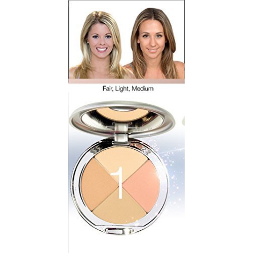  Christina Cosmetics Perfect Pigment 1 Compact: One Minute Miracle Makeup