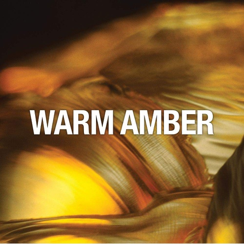  Christian Audigier Ed Hardy Perfume for Women, Eau De Parfum Spray with Warm Amber Notes, 3.4 Ounce