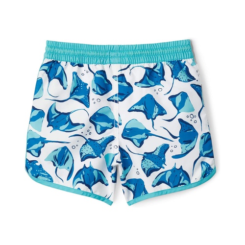 해틀리 Hatley Kids Painted Sting Rays Swim Shorts (Toddler/Little Kids/Big Kids)