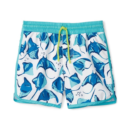 해틀리 Hatley Kids Painted Sting Rays Swim Shorts (Toddler/Little Kids/Big Kids)