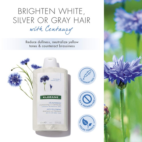  Klorane Anti -Yellowing Shampoo with Centaury for Blonde, White, Silver, Pastel Hair with Natural Blue Pigments