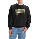 Relaxed Graphic Crew Poster Photosynthesis Caviar Sweatshirt