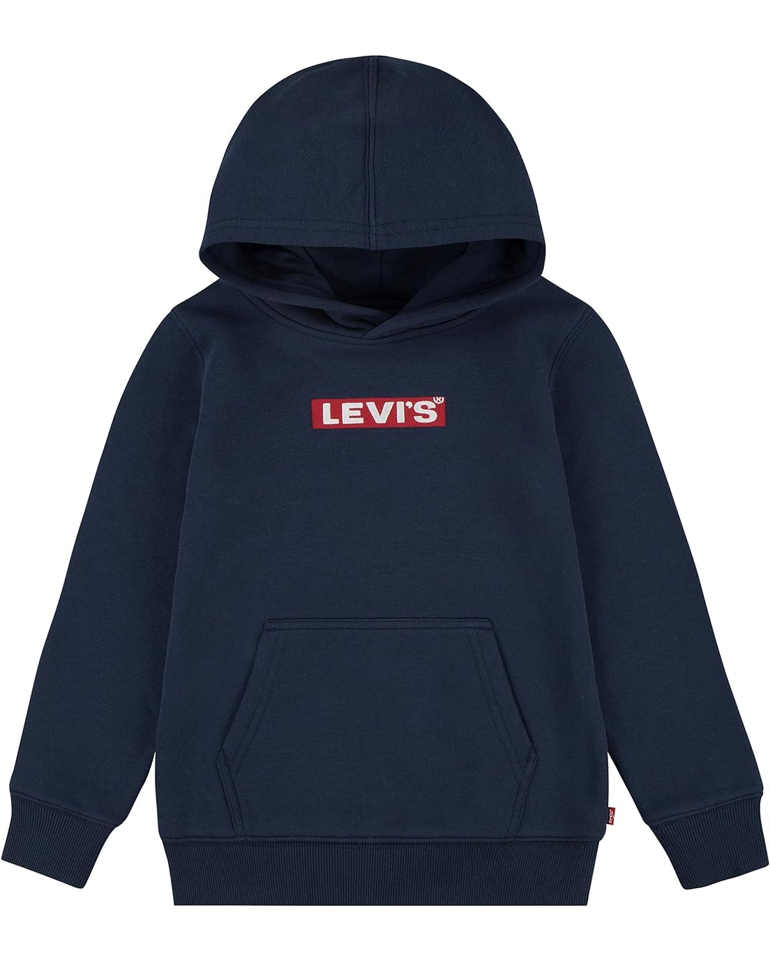 Levis Kids Box Tab Graphic Pullover Hoodie (Little Kids)