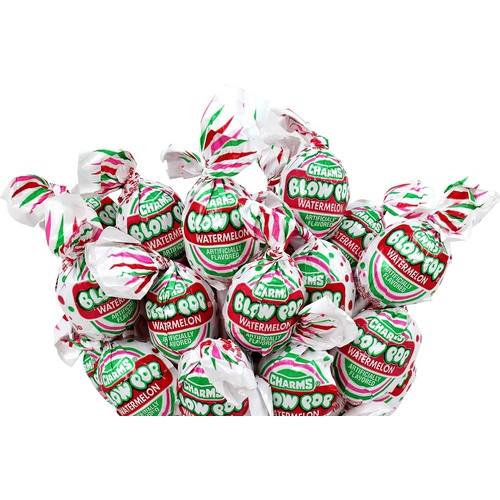  Mr. Munchies Charms Blow-Pops Lollipops, 5-lb Bulk Candy, Watermelon Flavor