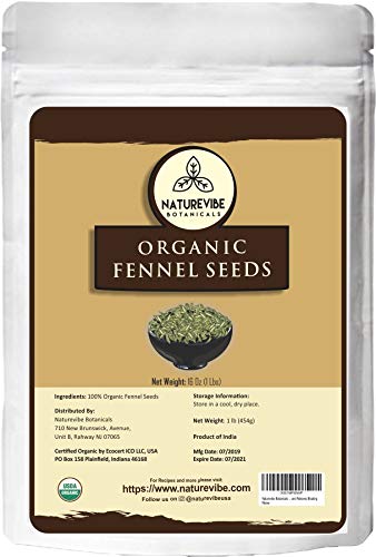 Naturevibe Botanicals Organic Fennel Seeds 1lb, Foeniculum Vulgare | Gluten Free & Non-GMO | Adds Flavor | Add to Healthy snacks