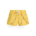 Toddler and Little Girls Polo Pony Cotton Twill Shorts