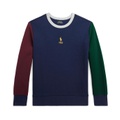 Polo Ralph Lauren Kids Color-Blocked Double-Knit Sweatshirt (Big Kids)