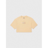 TOMMY ADAPTIVE Cropped Flag Graphic T-Shirt