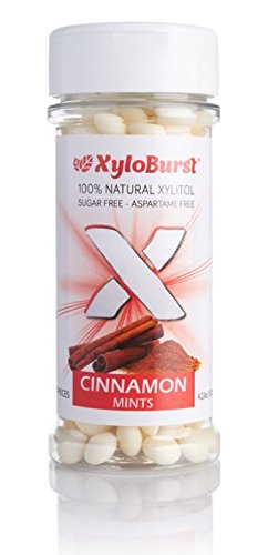 XyloBurst Sugar Free 100% Xylitol Sweetened Mints Breath Mints Candy - Keto, Low Carb and Diabetic Friendly - 200 Count Jar (Cinnamon, 1 Bottle)