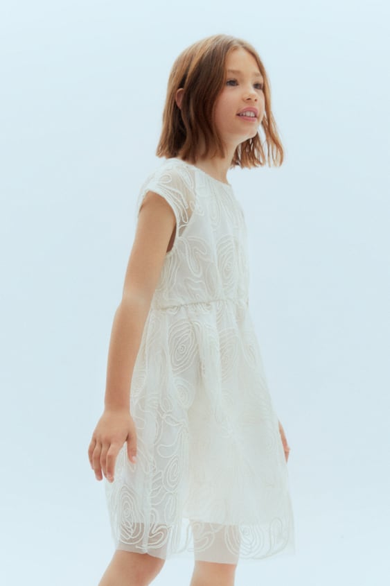 Zara CORDED EMBROIDERED DRESS