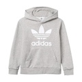 Adidas Originals Kids Trefoil Hoodie (Little Kids/Big Kids)