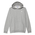 Adidas Originals Kids Adicolor Hoodie (Little Kids/Big Kids)