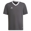 adidas Kids Entrada22 Jersey (Little Kids/Big Kids)