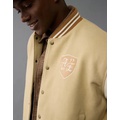 AE Varsity Bomber Jacket