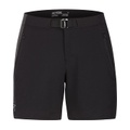Arcteryx Gamma LT Shorts