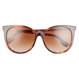 Burberry 55mm Gradient Cat Eye Sunglasses_LIGHT HAVANA/ BROWN Gradient