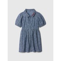 Gap Baby u0026amp; Toddler Paddington Chambray Dress