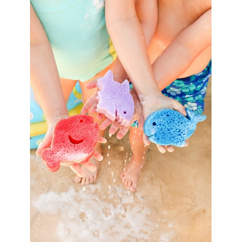 갭 Gap Spongelle Foaming Sponge Sea Animals Body Wash Infused Buffer